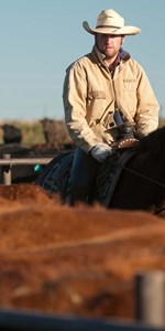 Rancher at Feedyard