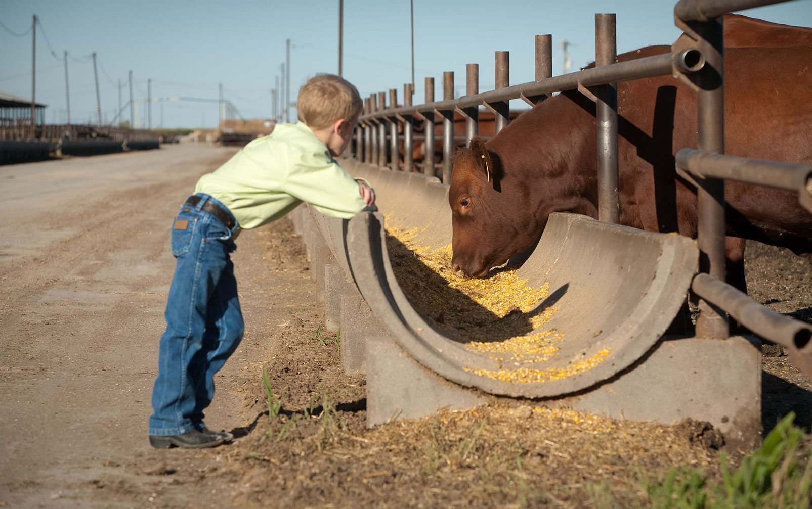 Boy at Feedyard